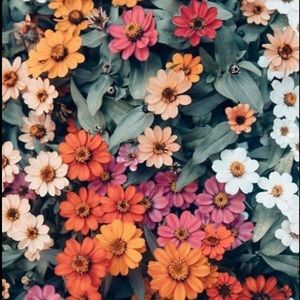 Meet your Posher, Lydia